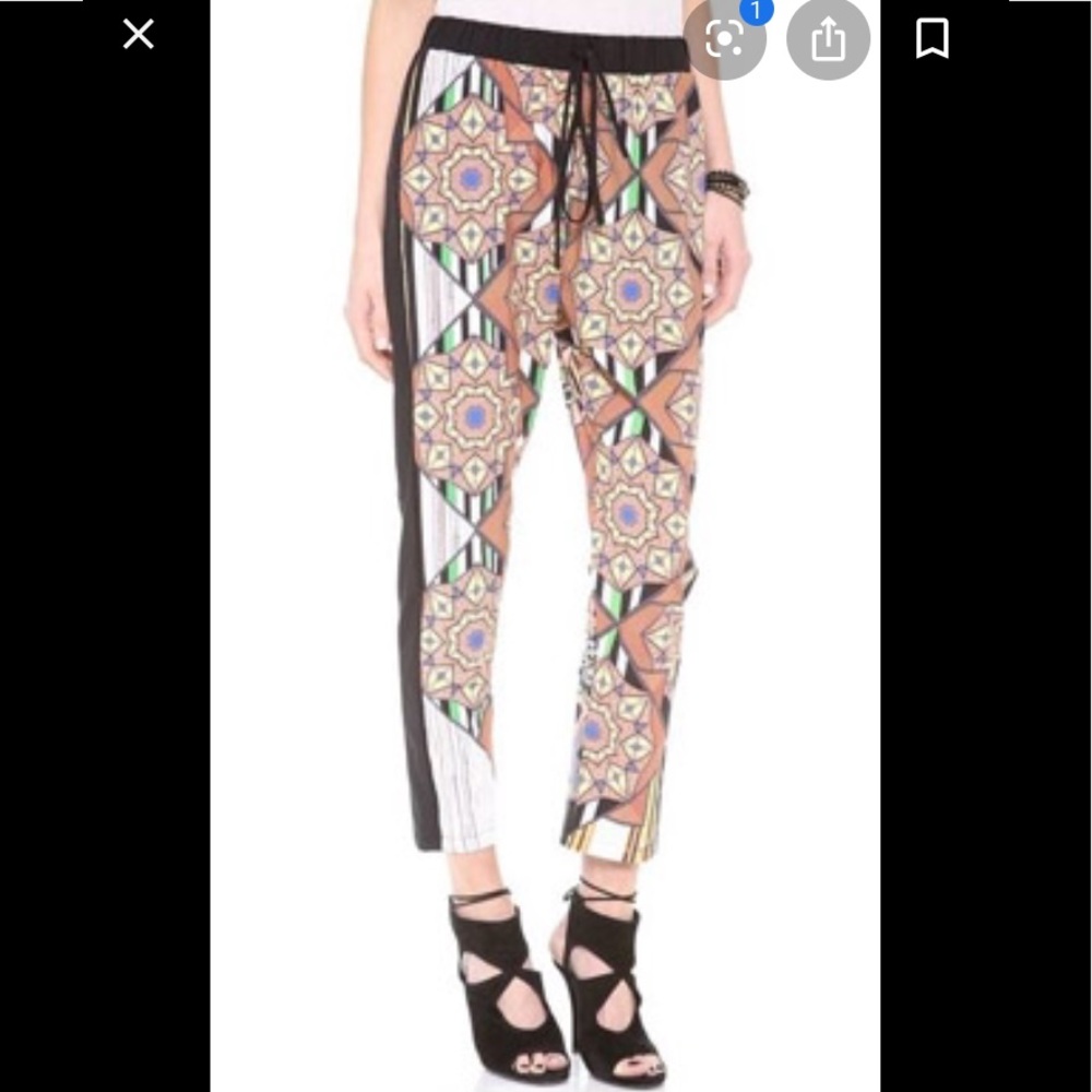 Gorgeous Printed Polyester Pants - image 1